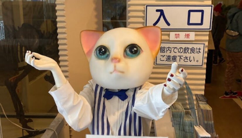 🐱 고양이 박물관 (네코노 하쿠부츠칸) 이미지 6